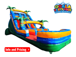 19' Double Reggae Rush splash