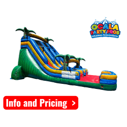 19' Double Reggae Rush splash