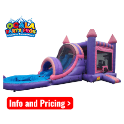 PINK N PURPLE COMBO dual slides