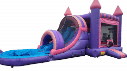 princess20double20other20side Photoroom 1707059227 PINK N PURPLE COMBO dual slides